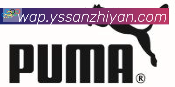 必一运动app官网入口合作伙伴