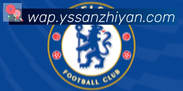 必一运动app官网入口合作伙伴