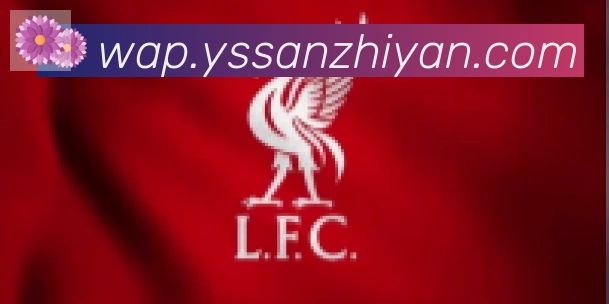 必一运动app官网入口合作伙伴